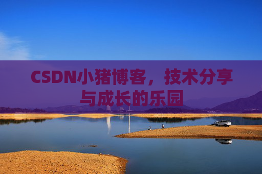 CSDN小猪博客，技术分享与成长的乐园